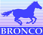 1311772276_bronco.gif :    Bronco Models  