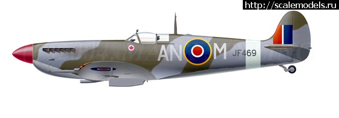 1343636625_44.jpg : Spitfire LF Mk.VIII (Tamiya) -  -   