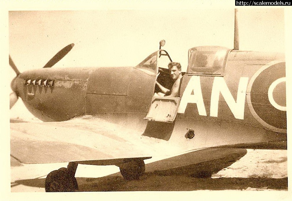 1344851151_canadian-in-italy.jpg : #729129/ Spitfire LF Mk.VIII (Tamiya) -  -   