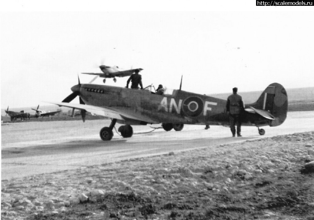 1344851154_AN-F.jpg : #729129/ Spitfire LF Mk.VIII (Tamiya) -  -   