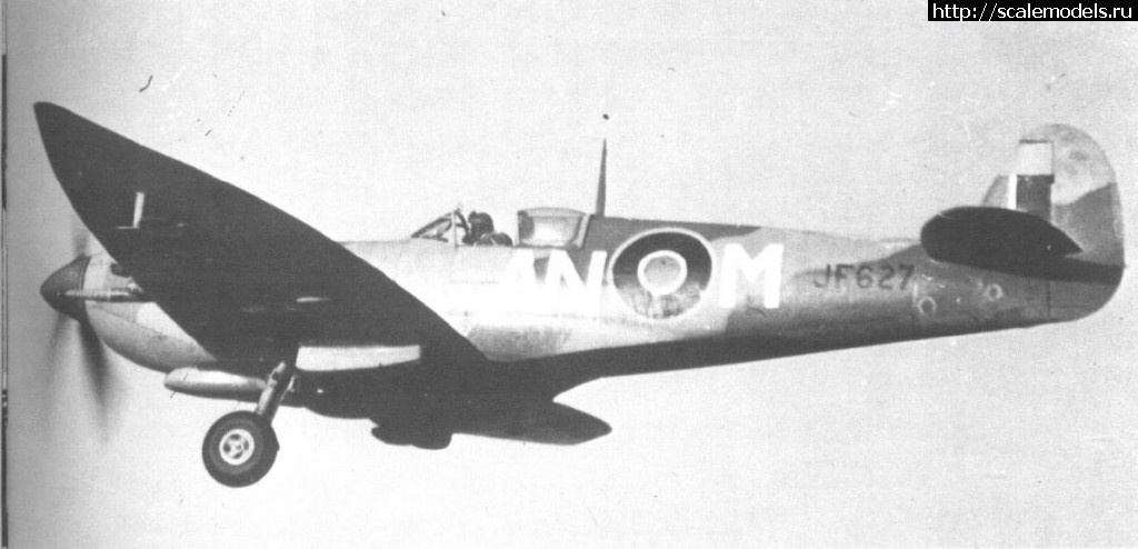 1344851155_AN-M.jpg : #729129/ Spitfire LF Mk.VIII (Tamiya) -  -   