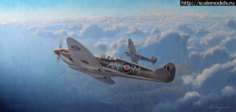 1344851243_canadian-in-italy.jpg : #729129/ Spitfire LF Mk.VIII (Tamiya) -  -   