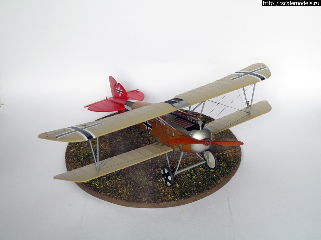 #768320/ Eduard 1:48 Albatros D.III Oeffag - !  