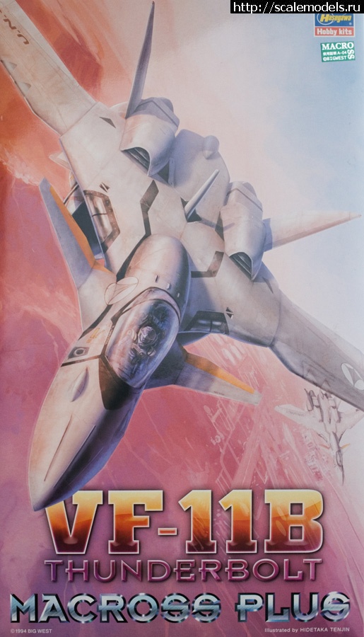 1368646042_0000.jpg : Hasegawa 1/72 VF-11B Thunderbolt  