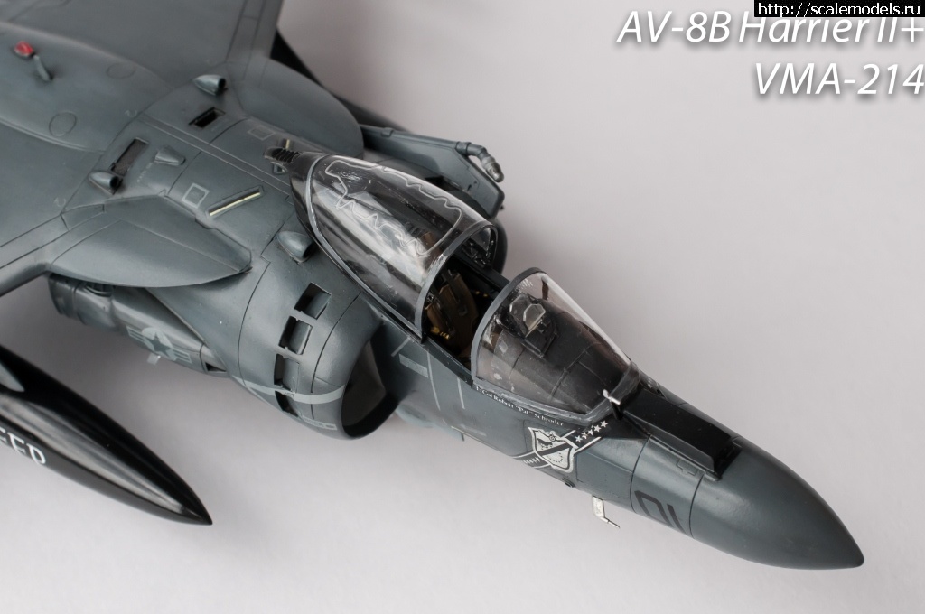 1368990257_DSC_0626.jpg : #866012/ AV-8B+ Harrier Hasegawa 1/48 ()  