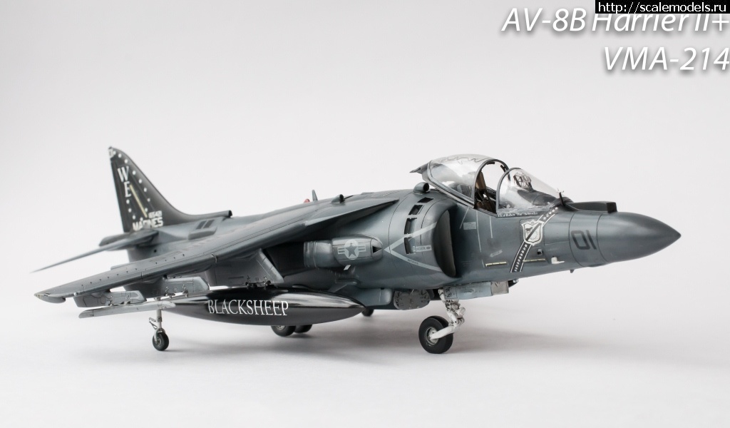 1368990261_DSC_0627.jpg : #866012/ AV-8B+ Harrier Hasegawa 1/48 ()  