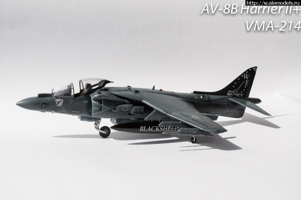 1368990281_DSC_0678.jpg : #866012/ AV-8B+ Harrier Hasegawa 1/48 ()  