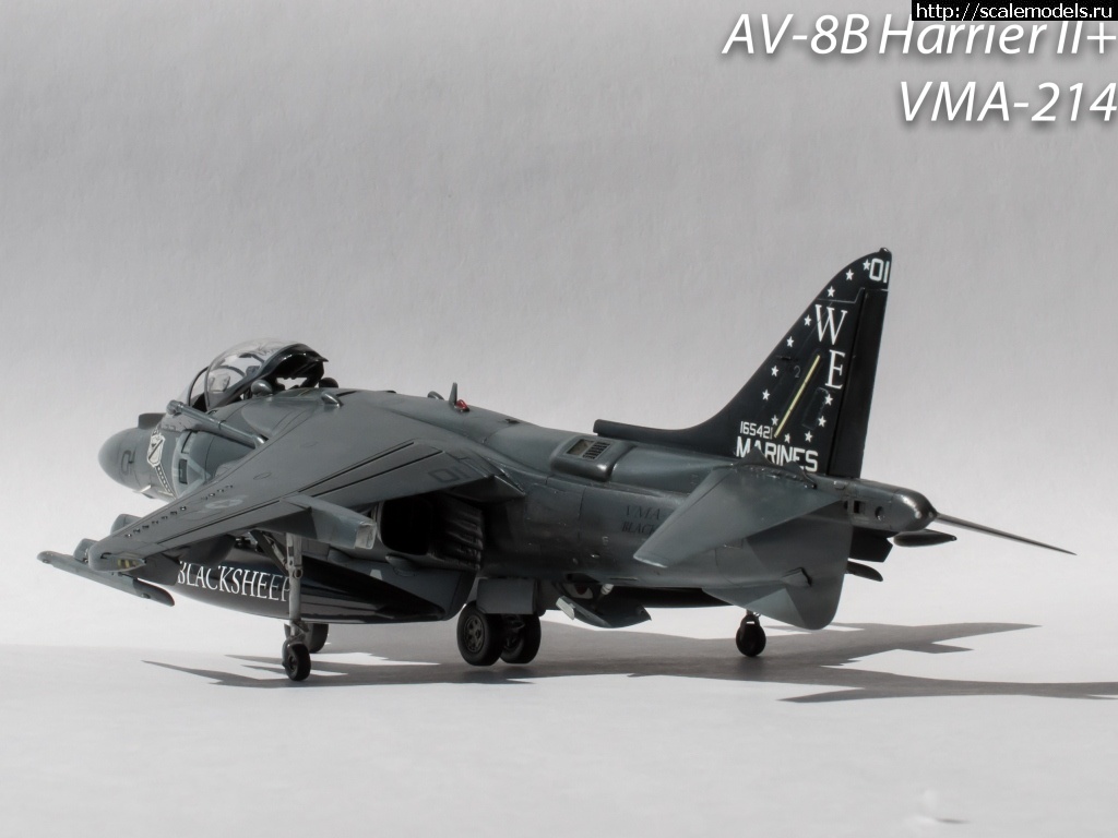 1368990286_DSC_0687.jpg : #866012/ AV-8B+ Harrier Hasegawa 1/48 ()  