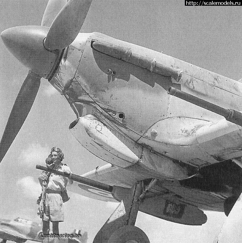#871092/ Hasegawa 1/48 Hawker Hurricane Mk.IID...(#6364) -   