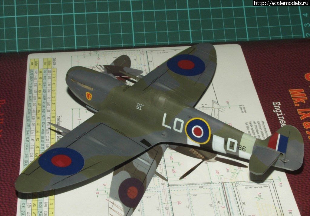 1373908129_Paint1.jpg : #887079/ Eduard 1/48 Spitfire Mk.IXc late - ...(#6036) -   