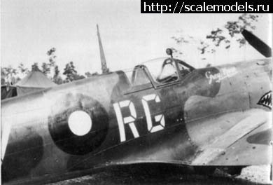 1379362571_Gibbes2.jpg : #913689/ Spitfire Mk.VIII(Tamiya) -   -   