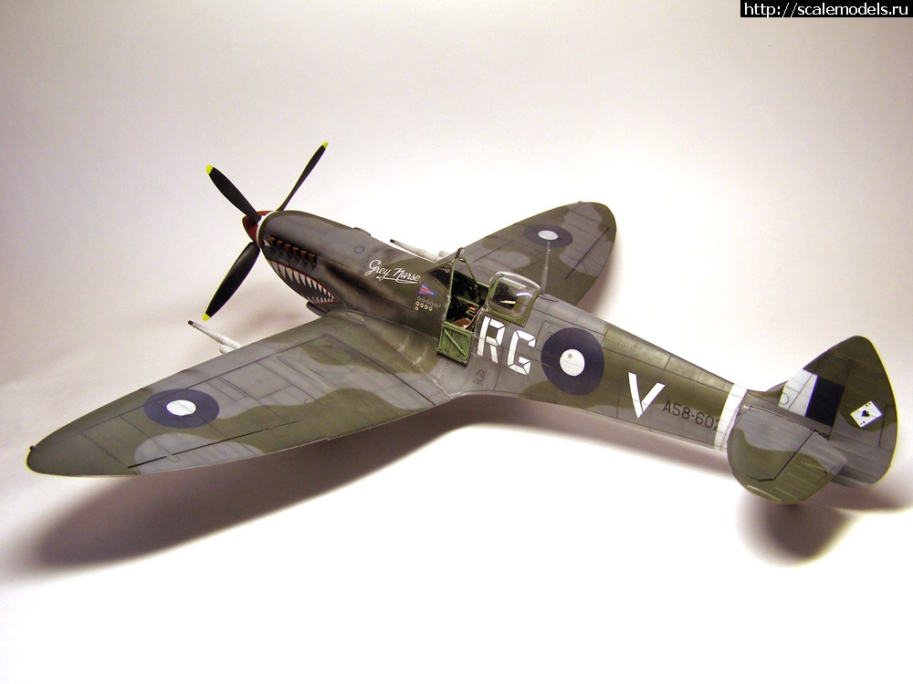 1383062743_39.jpg : #937611/ Spitfire Mk.VIII(Tamiya) -   -   