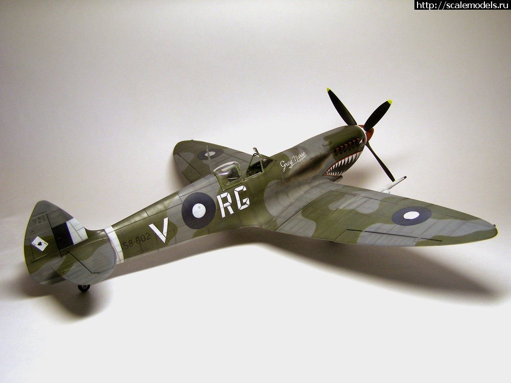 1383062743_40.jpg : #931723/ Spitfire Mk.VIII(Tamiya) -   -   