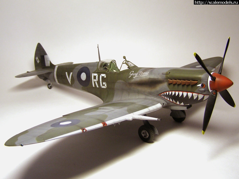 1383062743_41.jpg : #931723/ Spitfire Mk.VIII(Tamiya) -   -   
