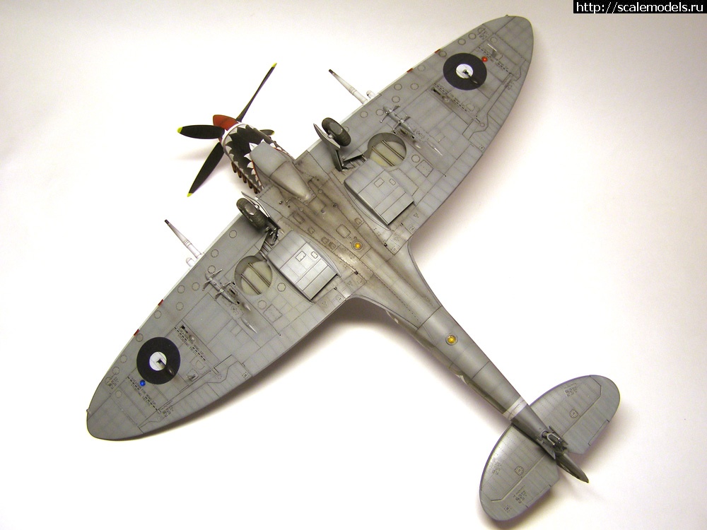 1383062743_42.jpg : #931723/ Spitfire Mk.VIII(Tamiya) -   -   