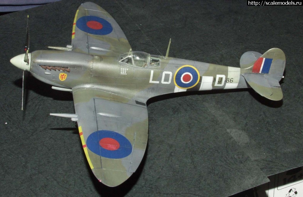 1384109259_Spit1.jpg : #936850/ Eduard 1/48 Spitfire Mk.IXc late - ...(#6036) -   