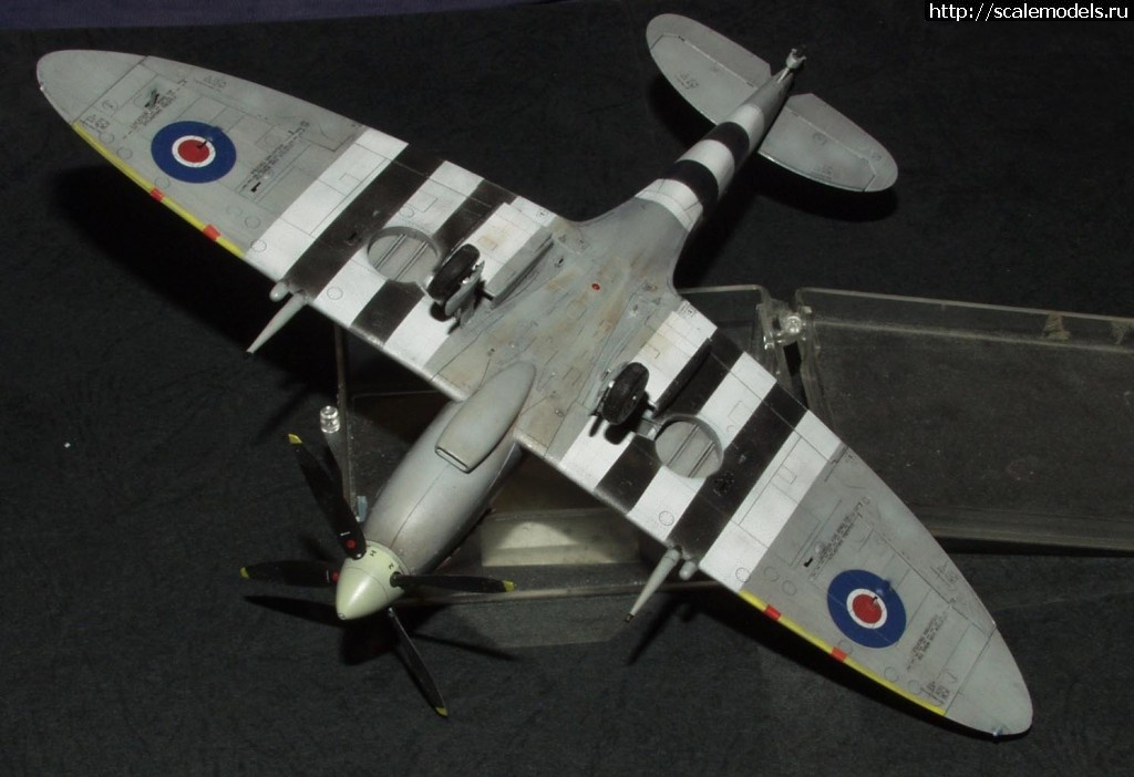 1384109338_Spit5.jpg : #936850/ Eduard 1/48 Spitfire Mk.IXc late - ...(#6036) -   