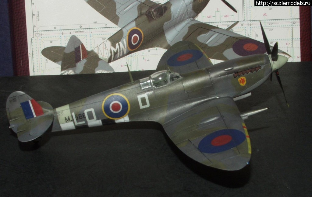 1384109376_Spit8.jpg : #936850/ Eduard 1/48 Spitfire Mk.IXc late - ...(#6036) -   