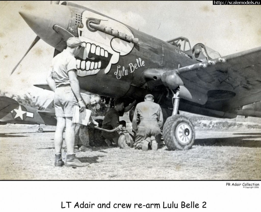 1388900485_Curtiss-P-40N-USAAF-42-104550-10AF-80FG89FS-White-44-Philip-Adair-Lulu-Belle-India-01.jpg : #960952/ P-40N Warhawk 1:48 -  . !  